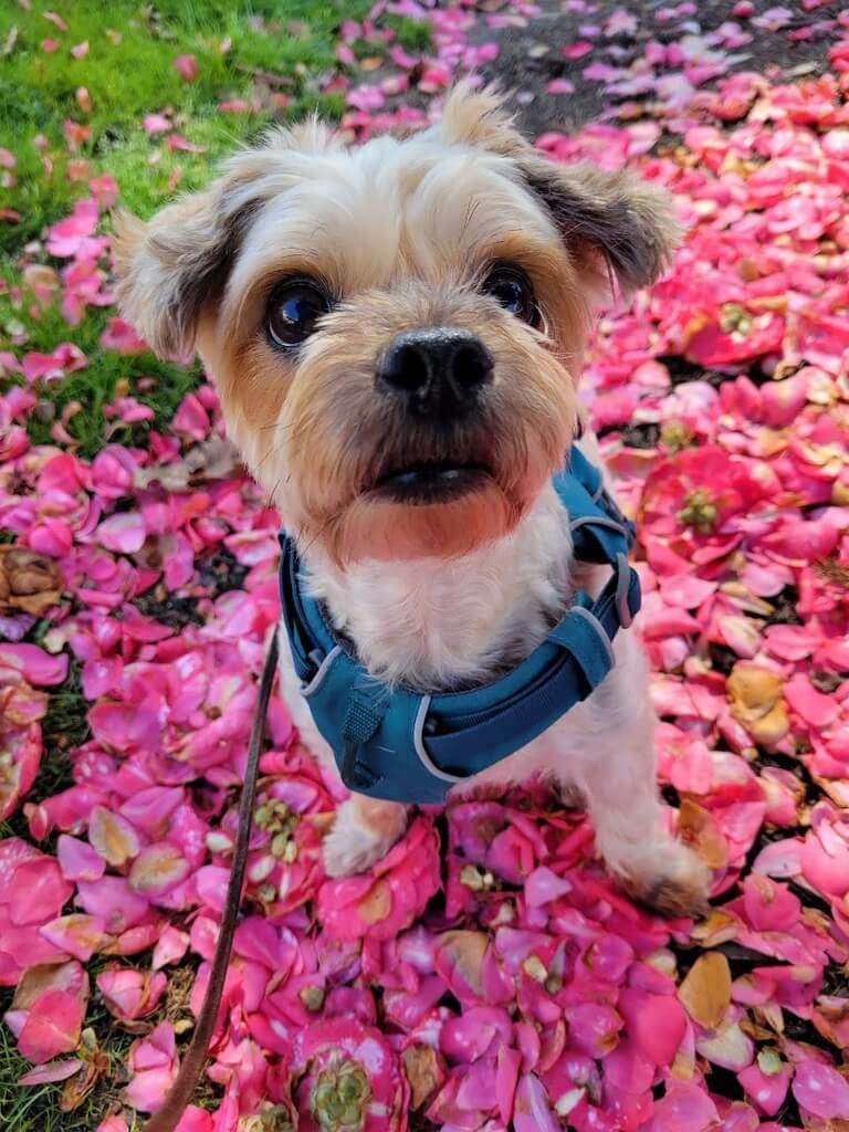 2a5a3d38 009c 4ab7 abe1 ee2f58af3d11 1 105 c