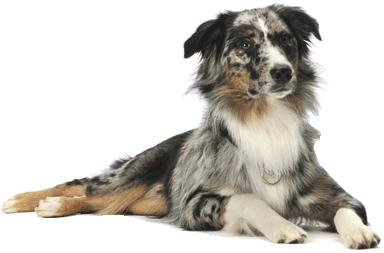 2cd43b 8b566735d4b747cc9babde6a90c76848 mv2