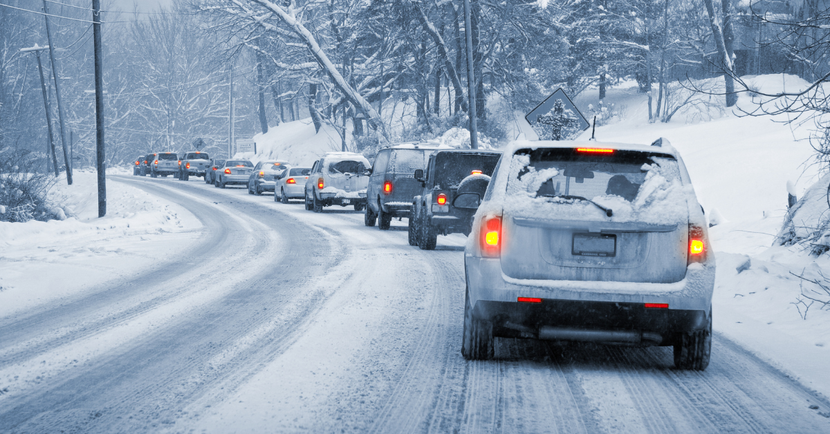 Featured image for “Protecting Your Pets During Atlanta’s Winter Storm This Week”