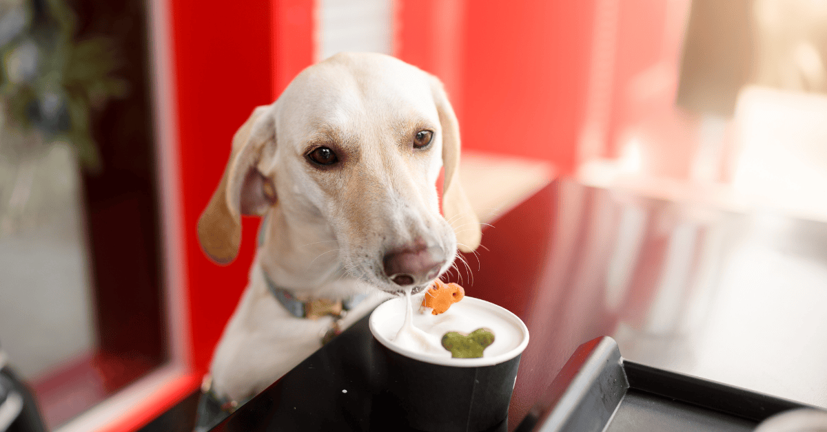 Featured image for “Barks and Bites Doggie Crawl: The Ultimate Dog Walk on the Atlanta BeltLine”