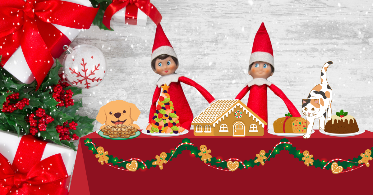 Featured image for “Elf on the Shelf: Risks for Your Pets”